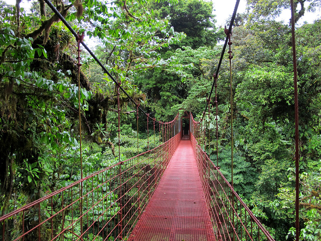 Pourquoi visiter la réserve de Monteverde lors d’un séjour au Costa Rica ?