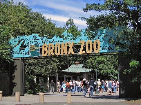 Bronx zoo miami